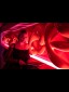 Thumb 7