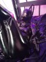 Miss Kitty Switch