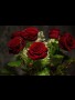 Red Rose Leipzig sucht GASTLADYS JETZT ANFRAGEN