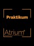 Praktikum im Dominastudio