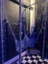 Studio Instinct
