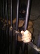 Picture 0