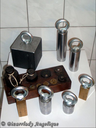 Picture 16