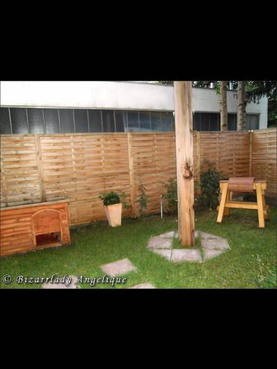 Picture 5