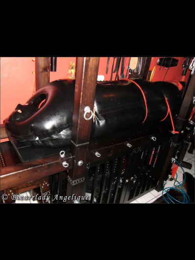 Picture 6