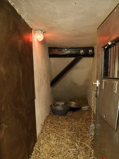 Picture 10