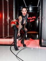 Dreamcats Leobersdorf in Wien Bild 1